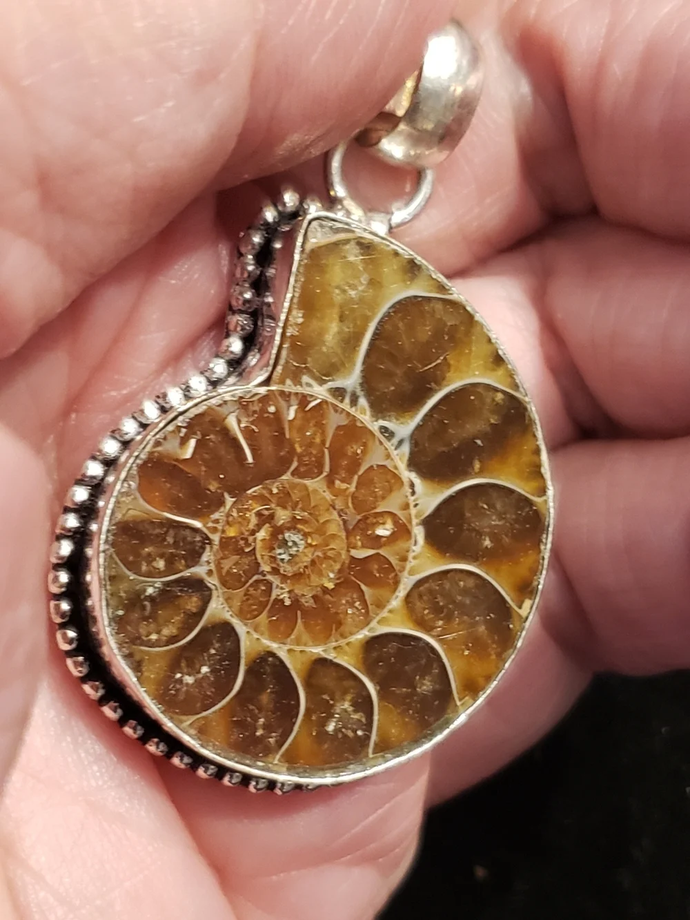 NEW Ammonite Fossil & Sterling Pendant, Polished & Stamped 925. Bisected Fossil. - Picture 3 of 4